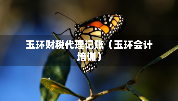 玉環(huán)財稅代理記賬（玉環(huán)會計培訓）