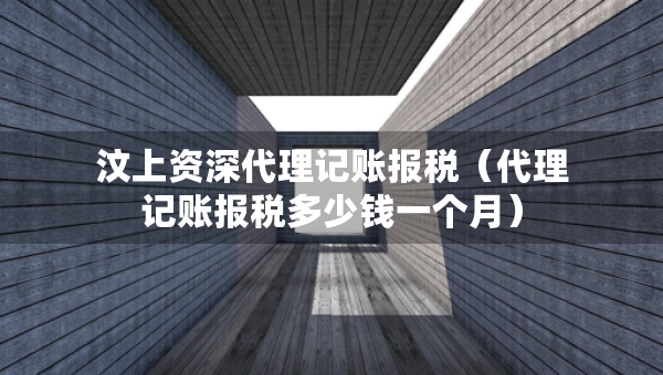 汶上資深代理記賬報(bào)稅（代理記賬報(bào)稅多少錢一個(gè)月）