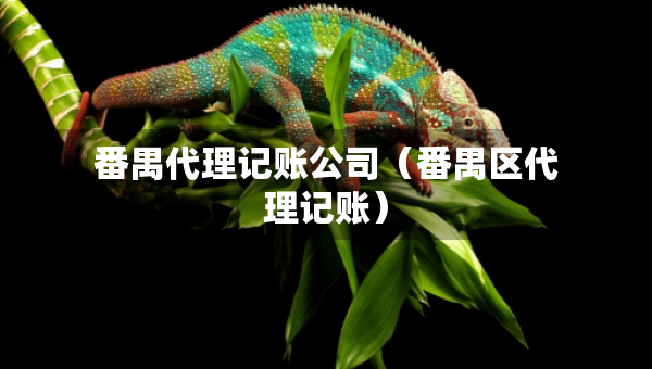 番禺代理記賬公司（番禺區(qū)代理記賬）