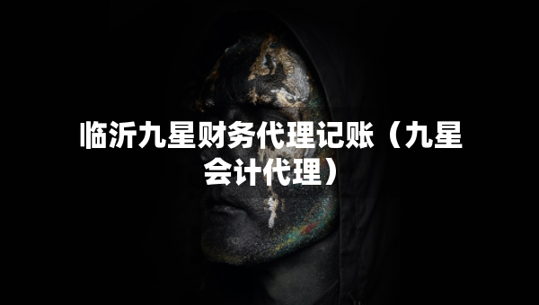 臨沂九星財(cái)務(wù)代理記賬（九星會(huì)計(jì)代理）