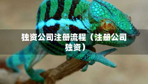 獨資公司注冊流程（注冊公司 獨資）