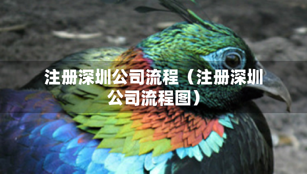 注冊(cè)深圳公司流程（注冊(cè)深圳公司流程圖）