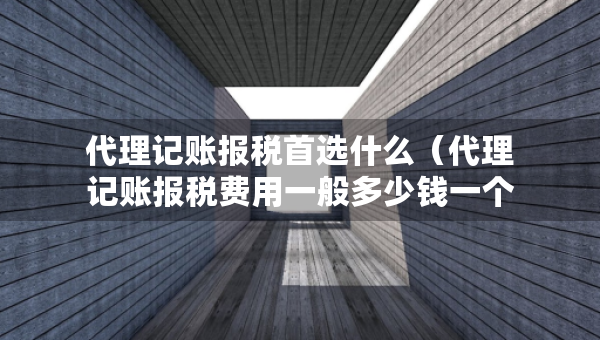代理記賬報稅首選什么（代理記賬報稅費(fèi)用一般多少錢一個月）