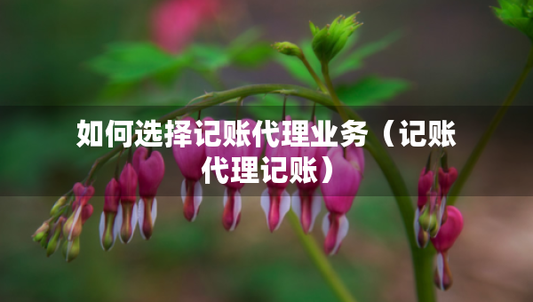 如何選擇記賬代理業(yè)務(wù)（記賬代理記賬）
