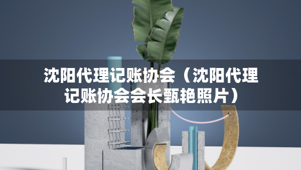 沈陽代理記賬協(xié)會（沈陽代理記賬協(xié)會會長甄艷照片）