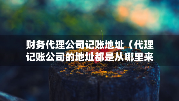 財(cái)務(wù)代理公司記賬地址（代理記賬公司的地址都是從哪里來(lái)的）