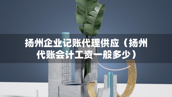 揚州企業(yè)記賬代理供應（揚州代賬會計工資一般多少）