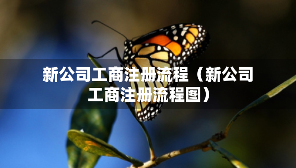 新公司工商注冊流程（新公司工商注冊流程圖）