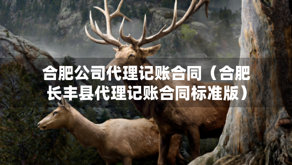 合肥公司代理記賬合同（合肥長(zhǎng)豐縣代理記賬合同標(biāo)準(zhǔn)版）
