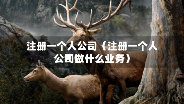 注冊一個人公司（注冊一個人公司做什么業(yè)務）