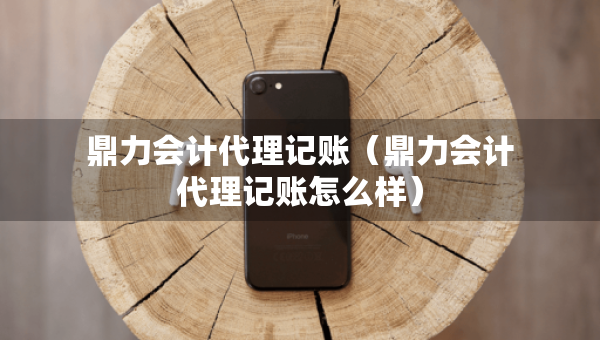 鼎力會(huì)計(jì)代理記賬（鼎力會(huì)計(jì)代理記賬怎么樣）