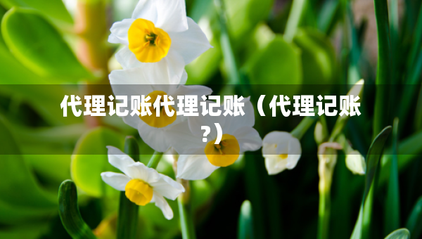 代理記賬代理記賬（代理記賬?）