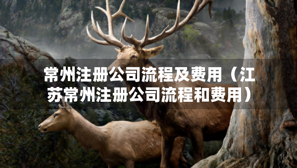 常州注冊(cè)公司流程及費(fèi)用（江蘇常州注冊(cè)公司流程和費(fèi)用）