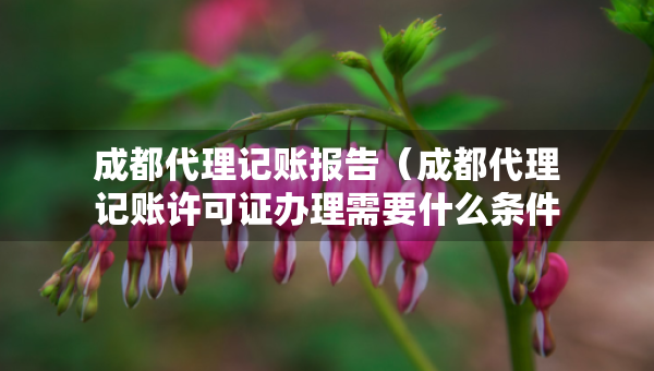 成都代理記賬報(bào)告（成都代理記賬許可證辦理需要什么條件）