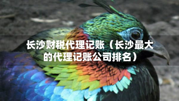 長(zhǎng)沙財(cái)稅代理記賬（長(zhǎng)沙最大的代理記賬公司排名）