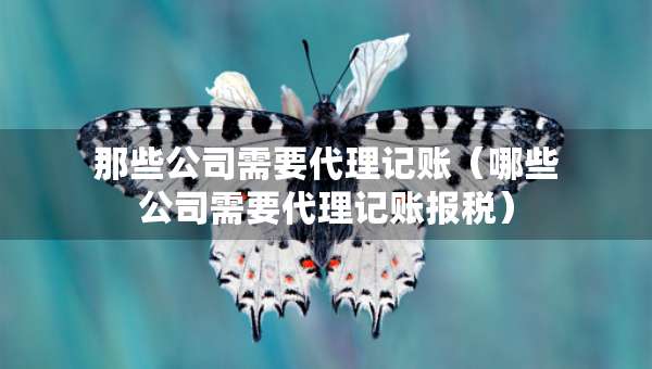 那些公司需要代理記賬（哪些公司需要代理記賬報(bào)稅）