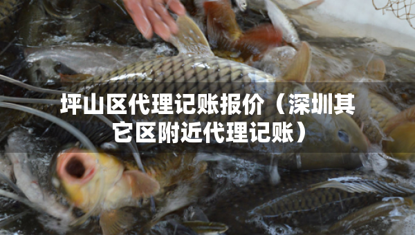 坪山區(qū)代理記賬報價（深圳其它區(qū)附近代理記賬）
