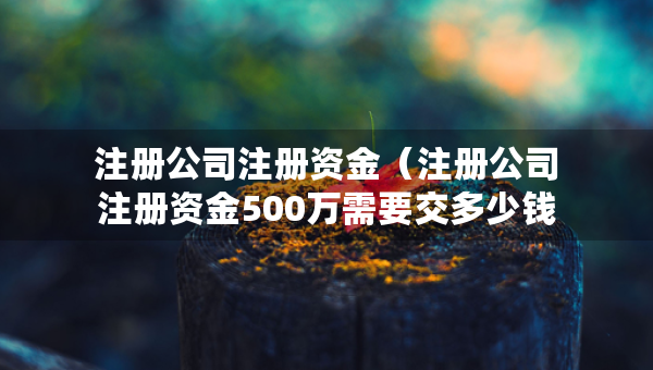 注冊公司注冊資金（注冊公司注冊資金500萬需要交多少錢）