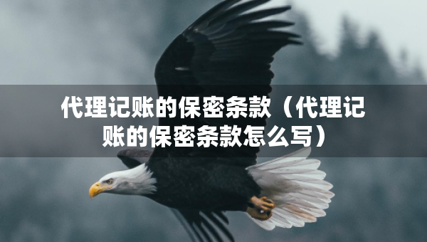 代理記賬的保密條款（代理記賬的保密條款怎么寫）