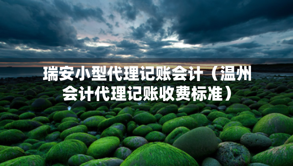 瑞安小型代理記賬會(huì)計(jì)（溫州會(huì)計(jì)代理記賬收費(fèi)標(biāo)準(zhǔn)）
