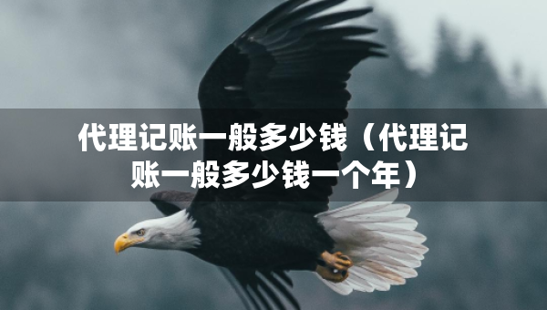 代理記賬一般多少錢（代理記賬一般多少錢一個(gè)年）
