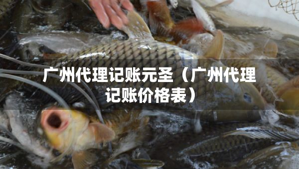 廣州代理記賬元圣（廣州代理記賬價(jià)格表）