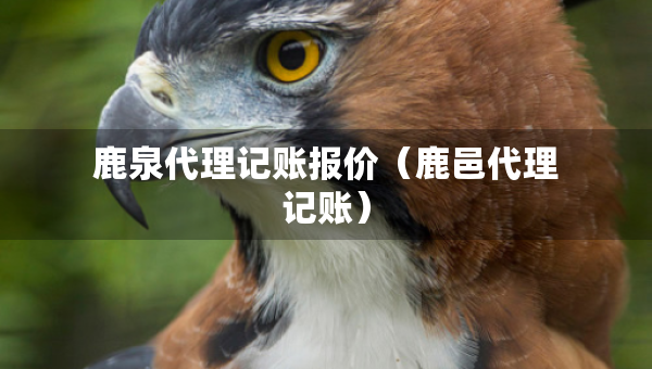 鹿泉代理記賬報價（鹿邑代理記賬）