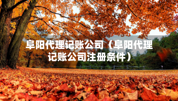阜陽代理記賬公司（阜陽代理記賬公司注冊條件）