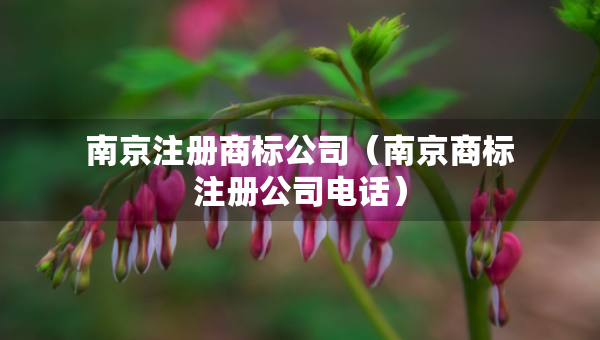 南京注冊(cè)商標(biāo)公司（南京商標(biāo)注冊(cè)公司電話）