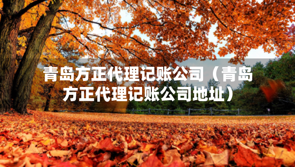 青島方正代理記賬公司（青島方正代理記賬公司地址）