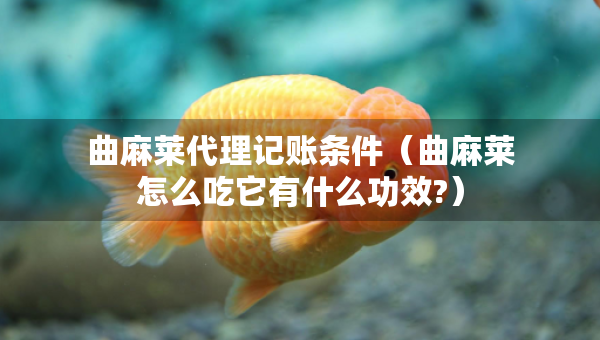 曲麻萊代理記賬條件（曲麻萊怎么吃它有什么功效?）