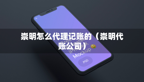 崇明怎么代理記賬的（崇明代賬公司）