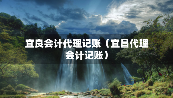 宜良會(huì)計(jì)代理記賬（宜昌代理會(huì)計(jì)記賬）