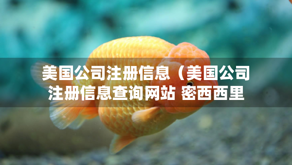 美國公司注冊信息（美國公司注冊信息查詢網(wǎng)站 密西西里周）