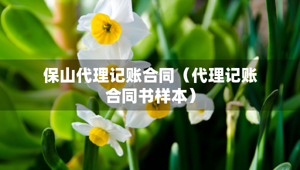 保山代理記賬合同（代理記賬合同書(shū)樣本）