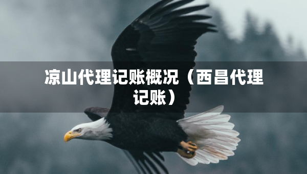 涼山代理記賬概況（西昌代理記賬）