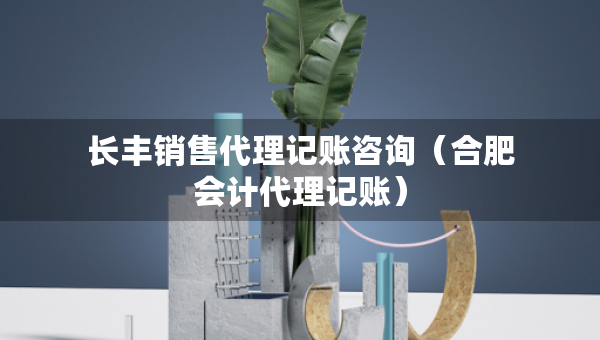 長豐銷售代理記賬咨詢（合肥會(huì)計(jì)代理記賬）