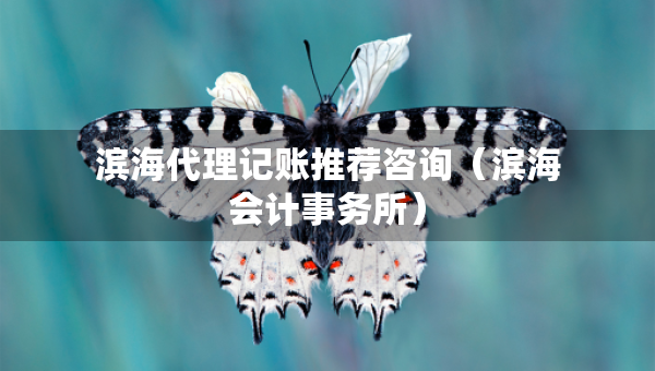 濱海代理記賬推薦咨詢(xún)（濱海會(huì)計(jì)事務(wù)所）