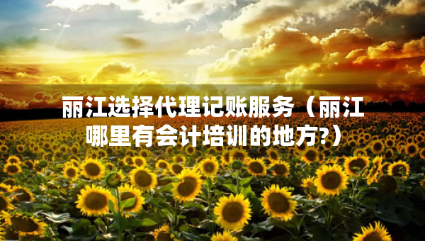 麗江選擇代理記賬服務(wù)（麗江哪里有會(huì)計(jì)培訓(xùn)的地方?）