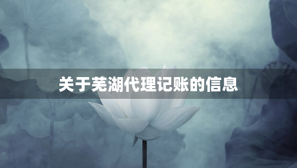 關(guān)于蕪湖代理記賬的信息