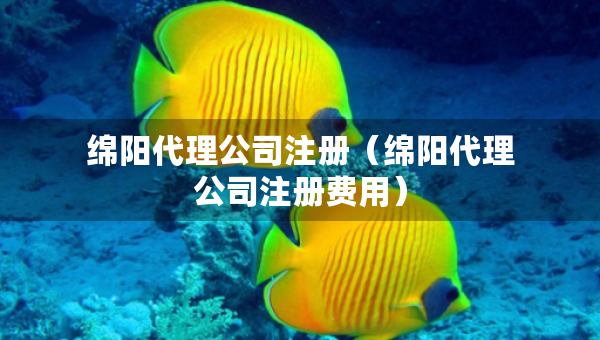 綿陽(yáng)代理公司注冊(cè)（綿陽(yáng)代理公司注冊(cè)費(fèi)用）