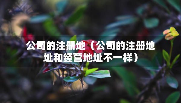 公司的注冊(cè)地（公司的注冊(cè)地址和經(jīng)營(yíng)地址不一樣）