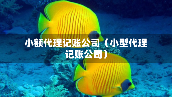 小額代理記賬公司（小型代理記賬公司）