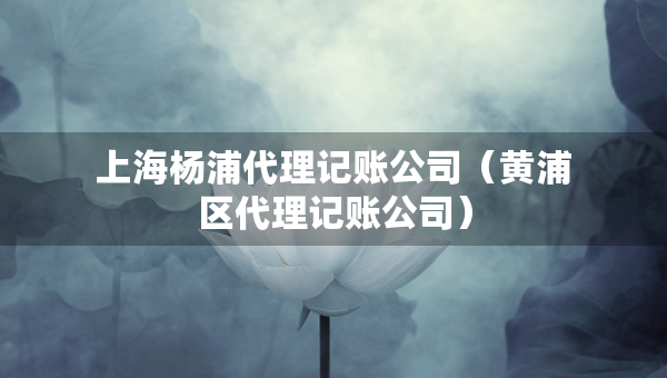 上海楊浦代理記賬公司（黃浦區(qū)代理記賬公司）