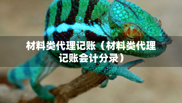 材料類代理記賬（材料類代理記賬會(huì)計(jì)分錄）