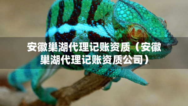 安徽巢湖代理記賬資質(zhì)（安徽巢湖代理記賬資質(zhì)公司）