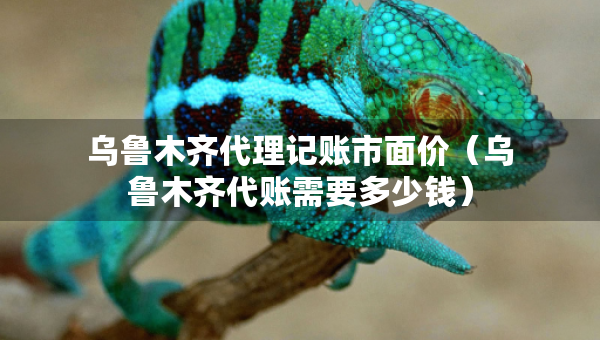 烏魯木齊代理記賬市面價(jià)（烏魯木齊代賬需要多少錢）