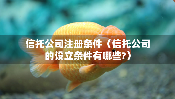 信托公司注冊條件（信托公司的設(shè)立條件有哪些?）