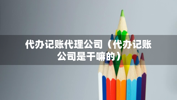 代辦記賬代理公司（代辦記賬公司是干嘛的）