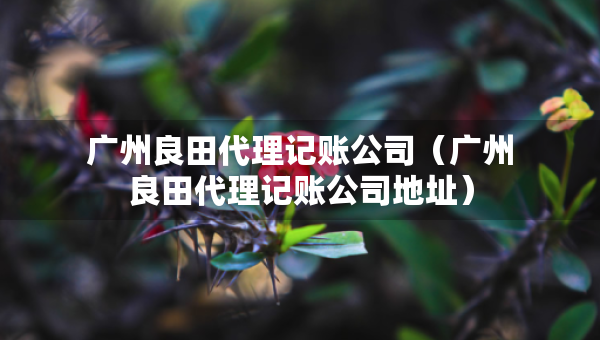 廣州良田代理記賬公司（廣州良田代理記賬公司地址）